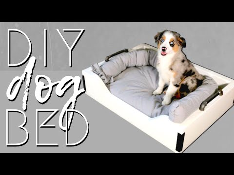 How to Make Your Own Adorable Doggy Bed!