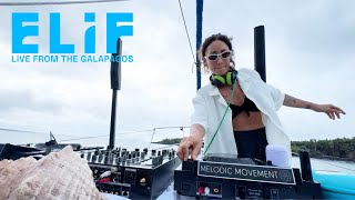 ELIF Live at Galápagos Islands Ecuador