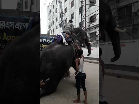 ঈদ আসলেই চাদাবাজী শুরু #shortvideos #viral #shorts #short
