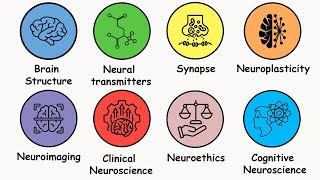 Every Fundamental Concept In Neuroscience Explained In 10 Minutes