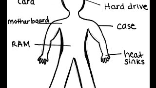 How similar a computer is to a human body