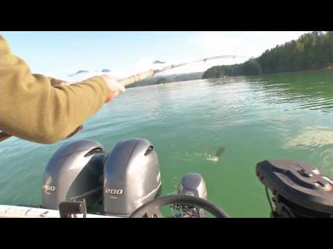 Nootka Video