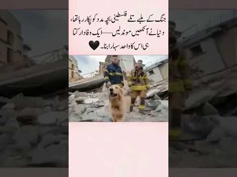 Palestine Kids #palestine #gaza#savegaza #freepalestine #shorts #youtubeshorts #islamicvideo #israel
