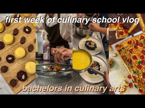 come to culinary school with me | week in my life as a culinary student | bachelors in culinary arts