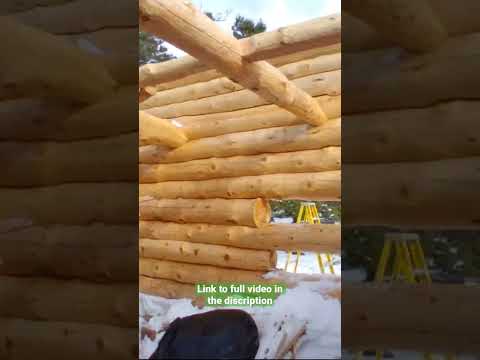 Cabin Tour