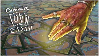 Timeless Wisdom Commander 2020 Review - Cultivate E.D.H!