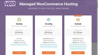 SITEGROUND WOOCOMMERCE REVIEW & PROMO CODE 70% OFF 💰