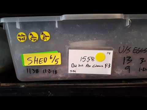 How I Keep Records