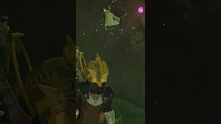 Tap ▶️ for Full Video! #thelegendofzeldatearsofthekingdom
