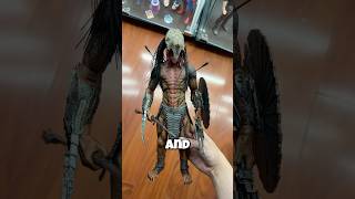 FERAL PREDATOR REVIEW 🔥