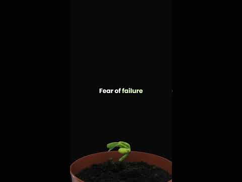 Procrastination Isn’t Laziness — It’s Fear.