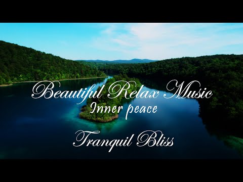 Ultimate Relaxation & Harmony! Calming Piano🍃(Serene Sounds of Flowing Brook, Gentle Spring Birds)!