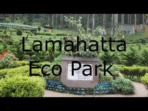 Darjeeling Vlog Part 2 : Tinchuley, Lamahatta, Hanging Bridge, Tukdah Forest