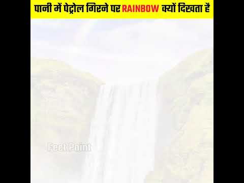 पानी में पेट्रोल गिरने पर 🌈 Rainbow जैसा कलर क्यों दिखता है? #Shorts