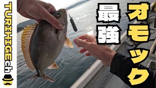 オモック最強 オモックでイサキ爆釣 #SLJ #タイラバ