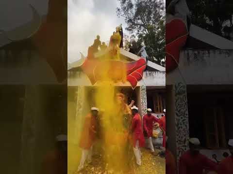 Ganpati bappa Visarjan || VNIT Nagpur ||  #ganpati #ganpativisarjan #ganpatibappa #viral #ytshorts