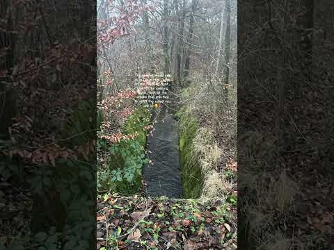 Go walking to change the Winter Moods