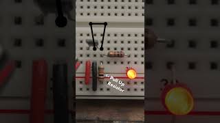 Digital Hall Effect Sensor