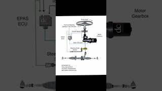 Electric Power Steering System