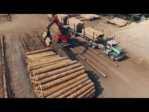 The Future of Wood - The Story of Abodo Eco Timber