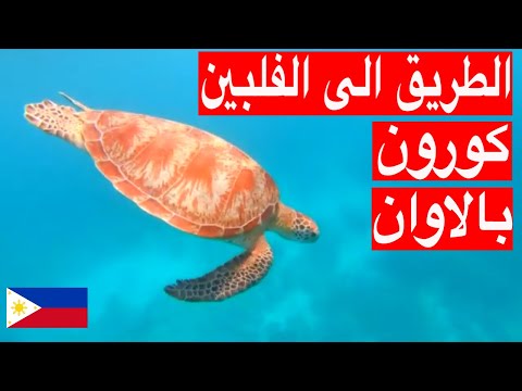 🇵🇭 الطريق الى الفلبين / كورون بالاوان