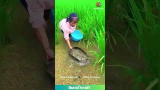 This Eel Catch is WIGGLY & WILD! 🤯 Duckweed Treasure Hunt! #fishingfun #eelfishing #oddlysatisfying