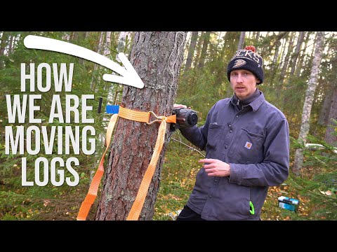 How We Are Moving Logs For Our Log Cabin | Off Grid Island Ep.15