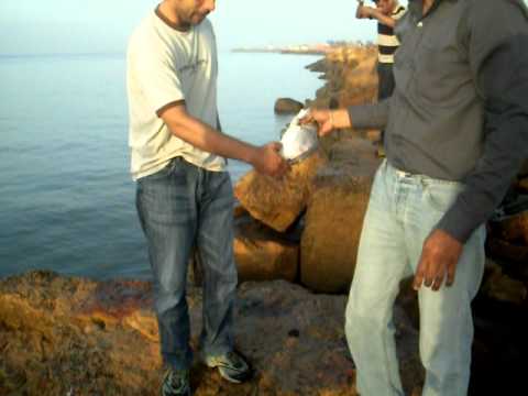 Do darya fishing with @360training friends Video4