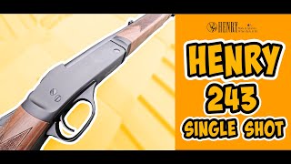 AMERICAS RIFLE- Henry Steel Single Shot .243 WIN