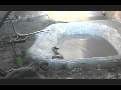 Snake Park - Van Vihar India