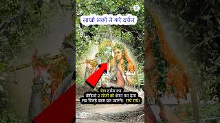 #zsonia Radha Krishna Live Darshan Jhanki #radharanidarshan #viral #nidhivan #status #janmashtami