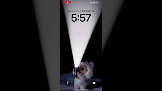 #labubu #wallpaper #livewallpaper
