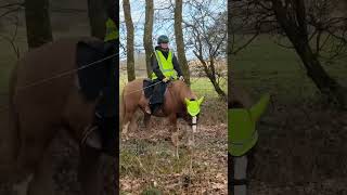 Jumping a ditch! #equestrian #horse #horseriding #viral #hackingout