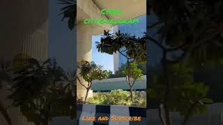 Beautiful India! #shorts #india #beautiful #indian #cyber #tech #tourist