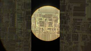 World Inside: 32 Bit Microprocessor