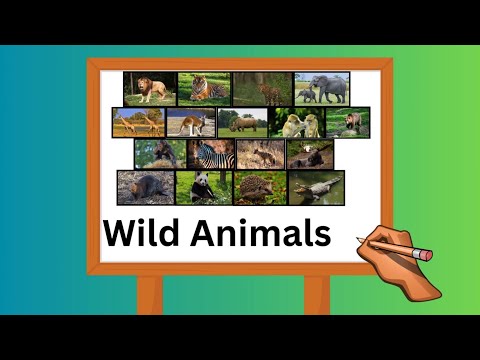 Learn Wild Animal Names in English | Animals name with Pictures | Animal Names Vocabulary for kids