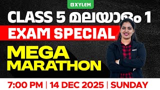 Class 5 Malayalam | Mega Marathon | Christmas Exam 2025 | Xylem Class 5