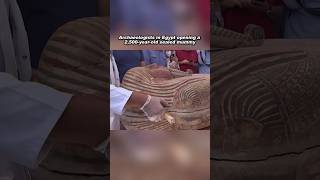 Archaeologists Reveal 2,500-Year-Old Egyptian Mummy