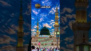 Muhammad mustafa 🕋💕#muhammadﷺ🕋💕#youtubeshort #exploreislam