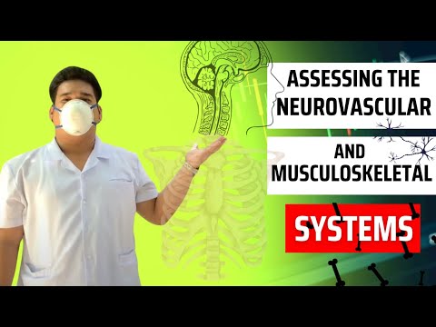 ASSESSING THE NEUROVASCULAR AND MUSCULOSKELETAL SYSTEM
