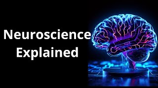 Neuroscience Explained. #brainscience #brainstudy #neuroscience #facts #mentalhealth #brain