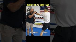 MASTER The Jab-Cross-Hook