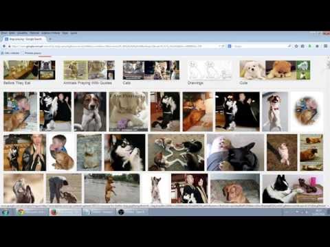 Basic Internet Tutorial - How to... Change Your Wallpaper