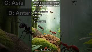 Test Your Knowledge: 10 Challenging Trivia Questions from History to Geography