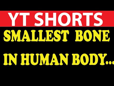 Which is Smallest Bone in Human Body | YT SHORTS | YOUTUBE SHORTS | YT SHORT VIDEOS