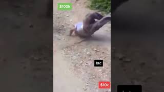 Some BTC action 💀