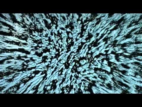 Cory C - ProgrePSYve - Part 7/7