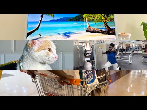 Shopping Haul || Home Office Set Up || Cleaning Couches& Carpets||Gym Day One || Shopping For My Cat