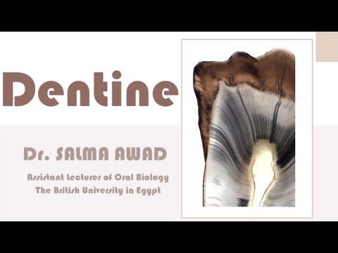 Dentine (drawing)