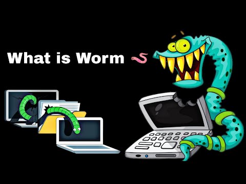 What is a Worm | Explained in Telugu
